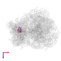 40S ribosomal protein S19 in PDB entry 8ipa, assembly 1, top view.