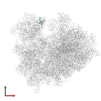 40S ribosomal protein S25 in PDB entry 8ipa, assembly 1, front view.