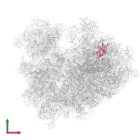 60S ribosomal protein L18a in PDB entry 8ipa, assembly 1, front view.