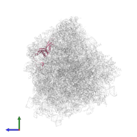 60S ribosomal protein L18a in PDB entry 8ipa, assembly 1, side view.