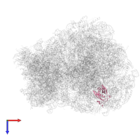 60S ribosomal protein L18a in PDB entry 8ipa, assembly 1, top view.