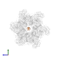 DNA (32-MER) in PDB entry 8iqi, assembly 1, side view.