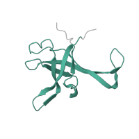 The deposited structure of PDB entry 8ir1 contains 1 copy of Pfam domain PF01247 (Ribosomal protein L35Ae) in Large ribosomal subunit protein eL33. Showing 1 copy in chain DA [auth n].