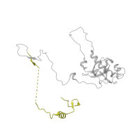 The deposited structure of PDB entry 8ir1 contains 1 copy of Pfam domain PF03868 (Ribosomal protein L6, N-terminal domain) in Large ribosomal subunit protein eL6. Showing 1 copy in chain EA [auth o].