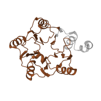 The deposited structure of PDB entry 8ir1 contains 1 copy of Pfam domain PF01912 (eIF-6 family) in Eukaryotic translation initiation factor 6. Showing 1 copy in chain C [auth 6].