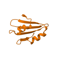 The deposited structure of PDB entry 8ir1 contains 1 copy of Pfam domain PF01781 (Ribosomal L38e protein family) in Large ribosomal subunit protein eL38. Showing 1 copy in chain XA [auth O].