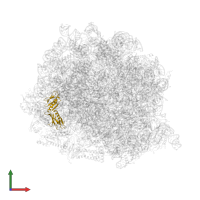 Large ribosomal subunit protein uL6 in PDB entry 8ir1, assembly 1, front view.