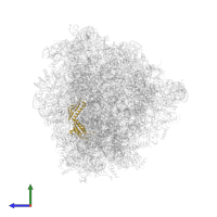 Large ribosomal subunit protein uL6 in PDB entry 8ir1, assembly 1, side view.