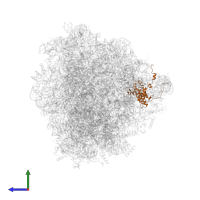 Large ribosomal subunit protein uL18 in PDB entry 8ir1, assembly 1, side view.