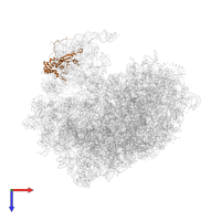 Large ribosomal subunit protein uL18 in PDB entry 8ir1, assembly 1, top view.