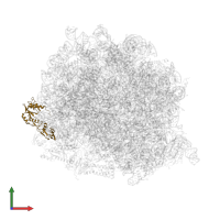mRNA turnover protein 4 homolog in PDB entry 8ir1, assembly 1, front view.