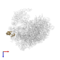 mRNA turnover protein 4 homolog in PDB entry 8ir1, assembly 1, top view.