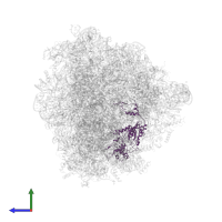 Nucleolar GTP-binding protein 2 in PDB entry 8ir1, assembly 1, side view.