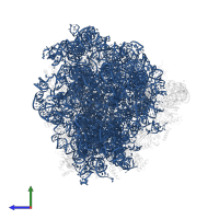 28S ribosomal RNA in PDB entry 8ir1, assembly 1, side view.