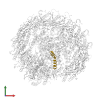 reaction center small polypeptide in PDB entry 8iug, assembly 1, front view.