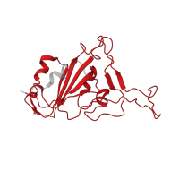The deposited structure of PDB entry 8j1t contains 1 copy of Pfam domain PF09408 (Betacoronavirus spike glycoprotein S1, receptor binding) in Spike protein S1. Showing 1 copy in chain C [auth F].