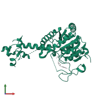 Delta-1-pyrroline-5-carboxylate synthase B in PDB entry 8j27, assembly 1, front view.