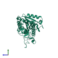 Delta-1-pyrroline-5-carboxylate synthase B in PDB entry 8j27, assembly 1, side view.