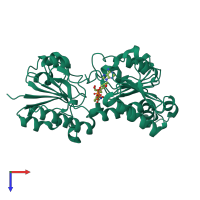 Monomeric assembly 1 of PDB entry 8j3o coloured by chemically distinct molecules, top view.