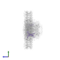 FCPII-K, fucoxanthin chlorophyll a/c binding protein in PDB entry 8j5k, assembly 1, side view.