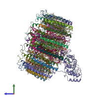 PDB entry 8j5p coloured by chain, side view.