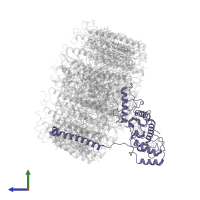 MULTIHEME_CYTC DOMAIN-CONTAINING PROTEIN in PDB entry 8j5p, assembly 1, side view.