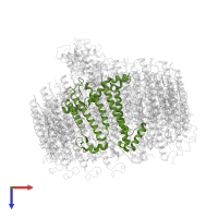 Reaction center protein L chain in PDB entry 8j5p, assembly 1, top view.