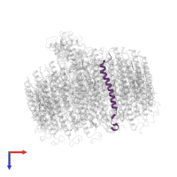 Subunit Z in PDB entry 8j5p, assembly 1, top view.