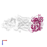 Uncharacterized ABC transporter ATP-binding protein Rv1281c in PDB entry 8j5r, assembly 1, top view.