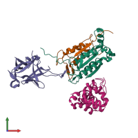 Hetero tetrameric assembly 1 of PDB entry 8j6k coloured by chemically distinct molecules, front view.