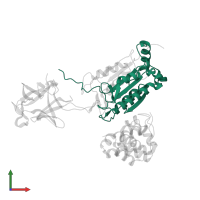 Caspase-4 subunit p20 in PDB entry 8j6k, assembly 1, front view.