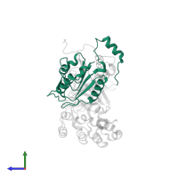 Caspase-4 subunit p20 in PDB entry 8j6k, assembly 1, side view.