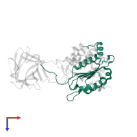 Caspase-4 subunit p20 in PDB entry 8j6k, assembly 1, top view.