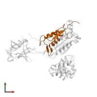 Caspase-4 subunit p10 in PDB entry 8j6k, assembly 1, front view.