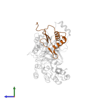 Caspase-4 subunit p10 in PDB entry 8j6k, assembly 1, side view.