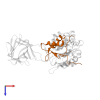 Caspase-4 subunit p10 in PDB entry 8j6k, assembly 1, top view.