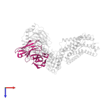 single Fab chain (scFv16) in PDB entry 8j6r, assembly 1, top view.