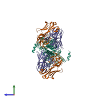 Hetero hexameric assembly 1 of PDB entry 8j80 coloured by chemically distinct molecules, side view.