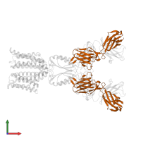 Light chain of YN7114-08 Fab in PDB entry 8j80, assembly 1, front view.