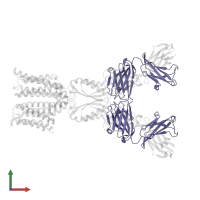 Heavy chain of YN7114-08 Fab in PDB entry 8j80, assembly 1, front view.