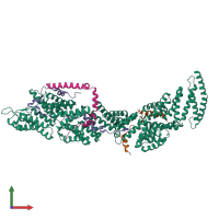 PDB entry 8j8p coloured by chain, front view.
