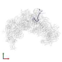 NDUEG10 in PDB entry 8j9i, assembly 1, front view.