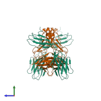 Hetero tetrameric assembly 1 of PDB entry 8jbv coloured by chemically distinct molecules, side view.