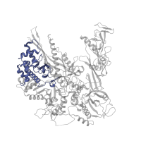 The deposited structure of PDB entry 8jh2 contains 1 copy of Pfam domain PF04561 (RNA polymerase Rpb2, domain 2) in DNA-directed RNA polymerase subunit beta. Showing 1 copy in chain D [auth B].