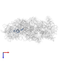 Small ribosomal subunit protein uS17 N-terminal domain-containing protein in PDB entry 8jiw, assembly 1, top view.