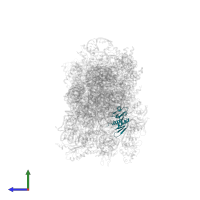 Small ribosomal subunit protein uS8c in PDB entry 8jiw, assembly 1, side view.