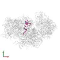 40S ribosomal protein S23 in PDB entry 8jiw, assembly 1, front view.