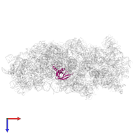 40S ribosomal protein S23 in PDB entry 8jiw, assembly 1, top view.