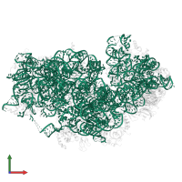 18S Ribosomal RNA in PDB entry 8jiw, assembly 1, front view.