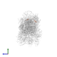 40S ribosomal protein S30 in PDB entry 8jiw, assembly 1, side view.